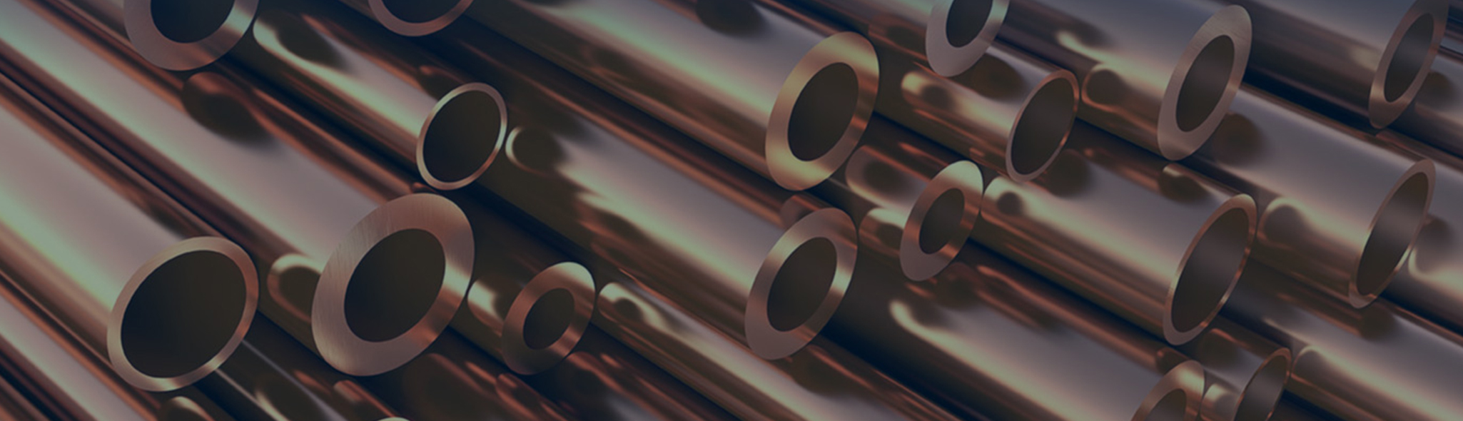 banner3.jpg